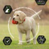 Pro Plan Mini Puppy Pollo 3kg