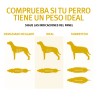 Pro Plan Adult All Sizes Light&Sterilizado 3kg