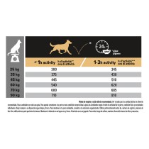 Pro Plan Large Adult Athletic Pollo 14kg