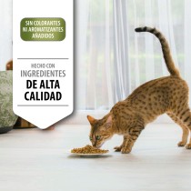 Pro Plan Gato Adult Pollo 1,5kg