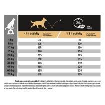 Pro Plan Medium Adult Pollo 14kg+2,5kg Promoción