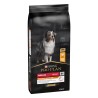 Pro Plan Medium Adult Pollo 14kg