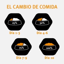 Pro Plan Medium Adult Pollo 14kg