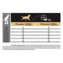 Pro Plan Medium Adult Pollo 14kg