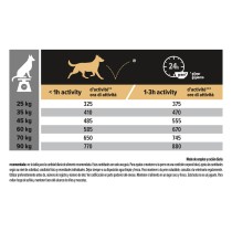 Pro Plan Large Adult Robust Pollo 14kg + 2,5kg