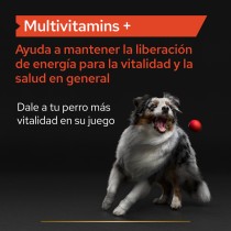 Pro Plan Suplemento  Perro Multivitaminas 67gr