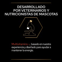 Pro Plan Suplemento  Perro Multivitaminas 67gr