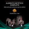 Pro Plan Veterinary Diets Canine Gastrointestinal 12kg