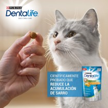 Dentalife Daily Oral Care Cat Pollo 40gr