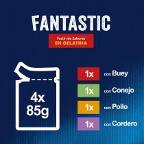 Felix Fantastic Selecciones Favoritas 4x85gr Expostor 12uds