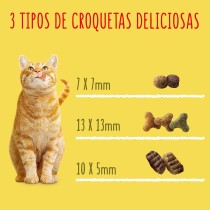 Friskies Gato Buey, Pollo y Verduras 20Kg