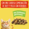 Friskies Gato Buey, Pollo y Verduras 20Kg