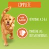 Friskies Complete Pollo 18Kg