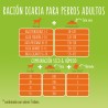 Friskies Complete Pollo 18Kg