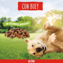 Friskies Dog Active Buey 3Kg