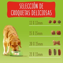 Friskies Dog Active Buey 3Kg