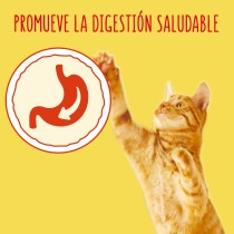 Friskies Gato Buey, Pollo y Verduras 4kg