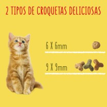 Friskies Junior Gato 1,5kg