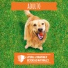 Friskies Dog Pollo y Verdura 3kg