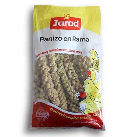 El panizo en espiga es una semilla que le encanta a todas las aves.
Es una semilla baja en grasa por lo que es muy bien digeri