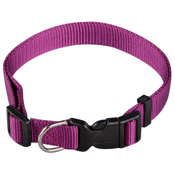 Collar Nylon Basic T 10 Morado