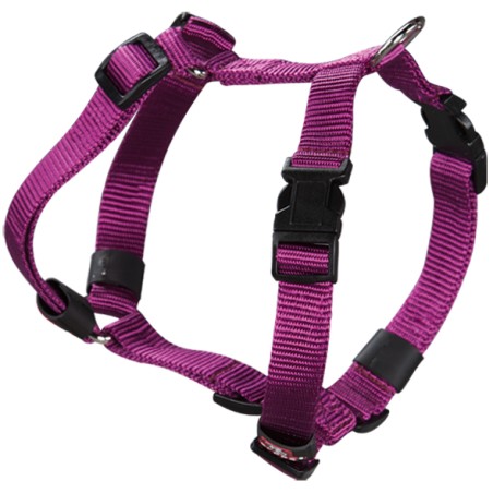 Arnes Nylon Basic T 05 Morado