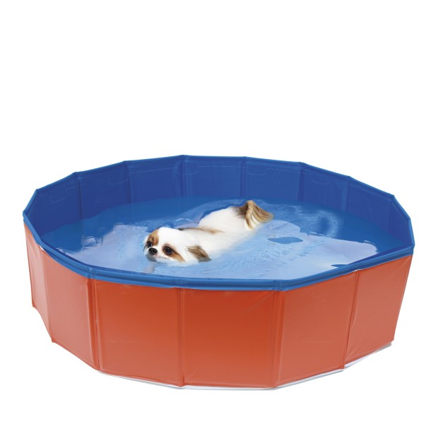 Piscina para perros 80x20cm