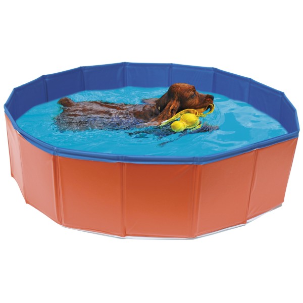 Piscina para perros 120x30cm