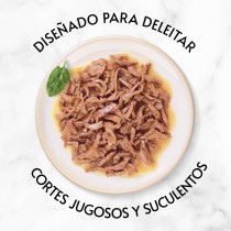 Gourmet Delicias Suculenta Surtido 12x85gr