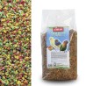 Pasta Cría Tropical Jarad 500gr