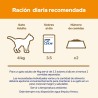 Cat Chow Salmón 85gr