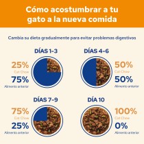 Cat Chow Salmón 85gr