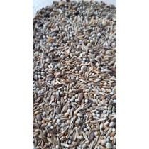 Mixp Carduelis Spinus White 98  0.8kg