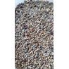 Mixp Carduelis Spinus White 98  0.8kg