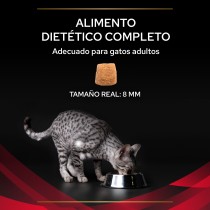 Pro Plan Veterinary Diets Feline Renal 5Kg