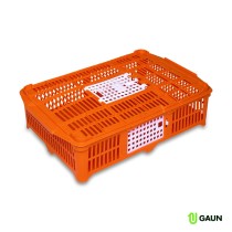 Cesta Transporte Pollitos/Codornices