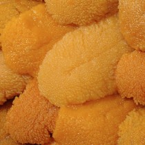 Huevas de erizo - Uni Islandia 100gr