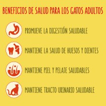Friskies Gato Adulto Salmón 4Kg