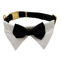 Collar Smoking Ceremonia T-M  32-50cm