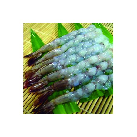 Langostino Tempura - Nobashi Ebi 5L - 20 pzs