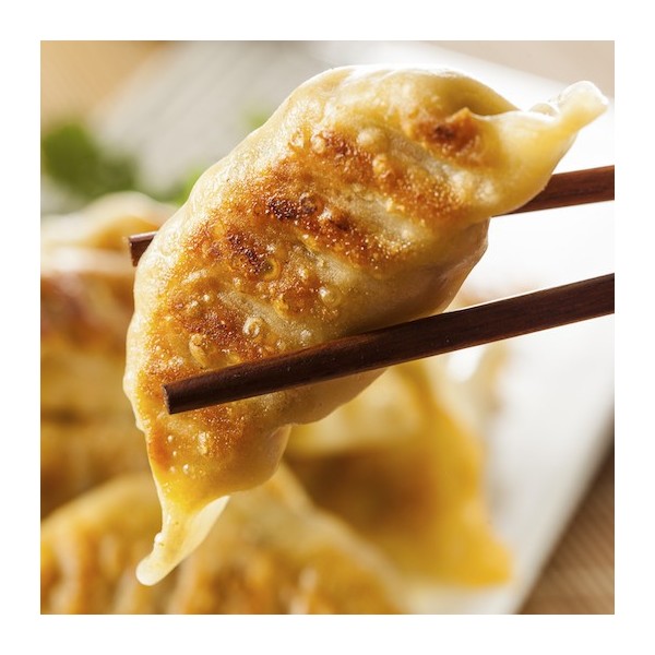 Gyoza de cerdo y verdura 460gr - 20 pzs