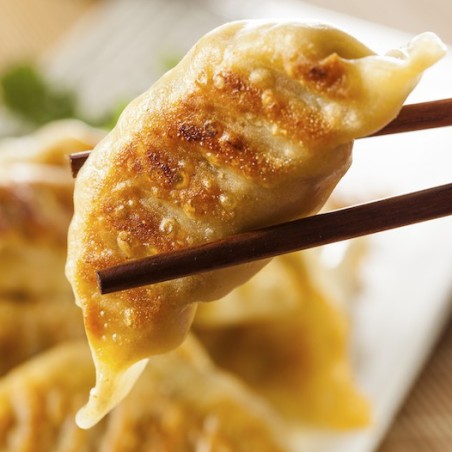 Gyoza de cerdo y verdura 460gr - 20 pzs