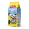 Pipa Loro 2Kg