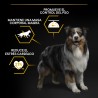 Pro Plan All Sizes Light&Esterilizado 14Kg + 2,5Kg