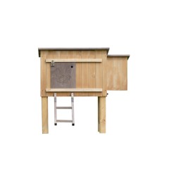 Caseta Aves Modelo Madrid