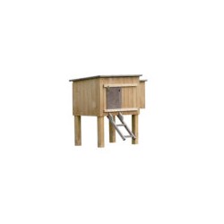 Caseta Aves Modelo Madrid