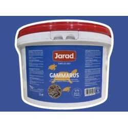 Gammarus Grande 3-4cm 1Kg
