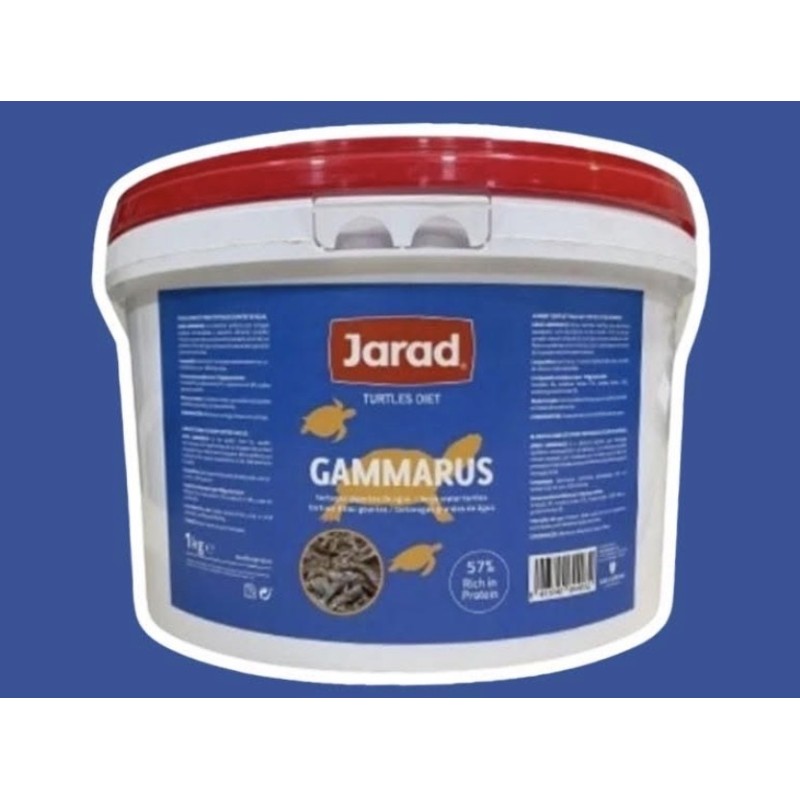 Gammarus Grande 3-4cm 1Kg