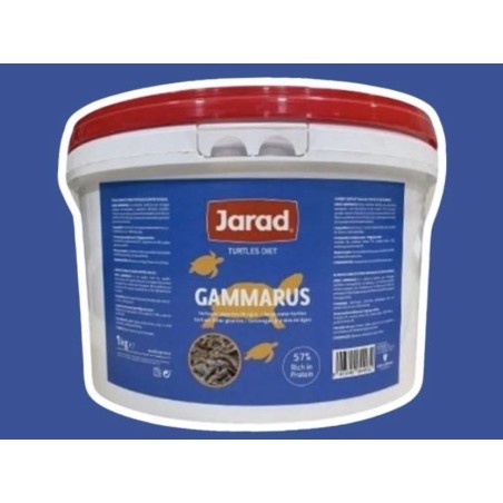 Gammarus Grande 3-4cm 1Kg