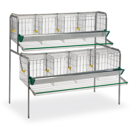 Batería Gallina 8 Dptos.